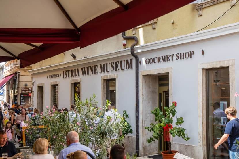 Istria Wine Museum — Where Every Bottle Tells a Story