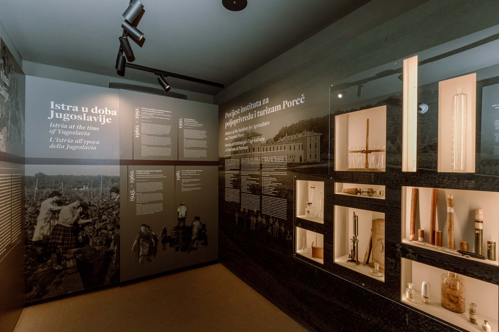 Explore the Exhibition: A Journey Through Istrian Wine Culture
