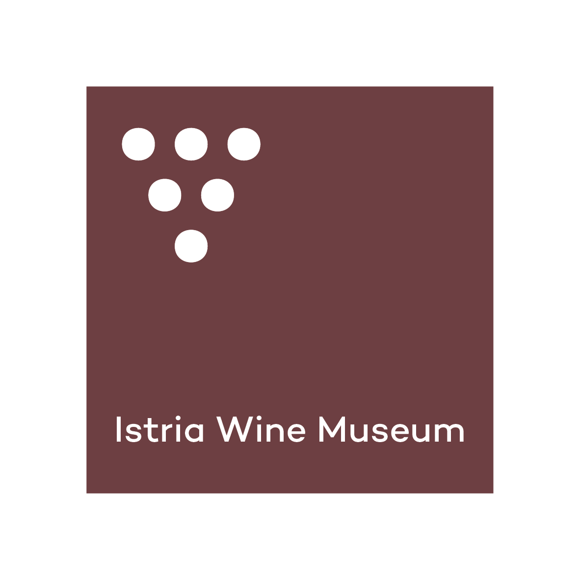 Biglietto per il Museo del Vino