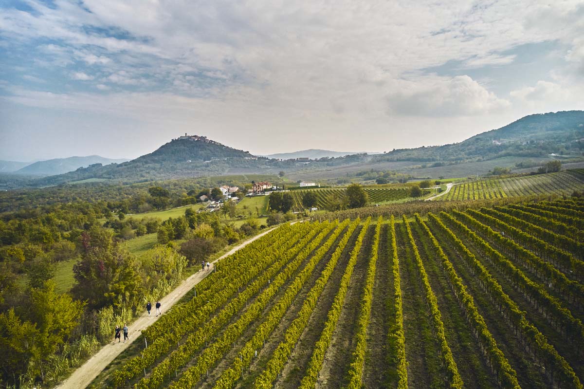 Labels, documents, audio recordings and visual stories