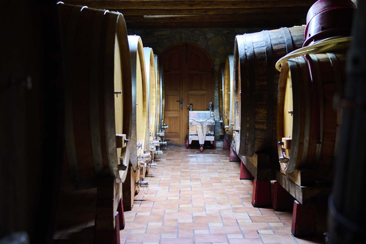 Historical tools, barrels, presses, and bottles